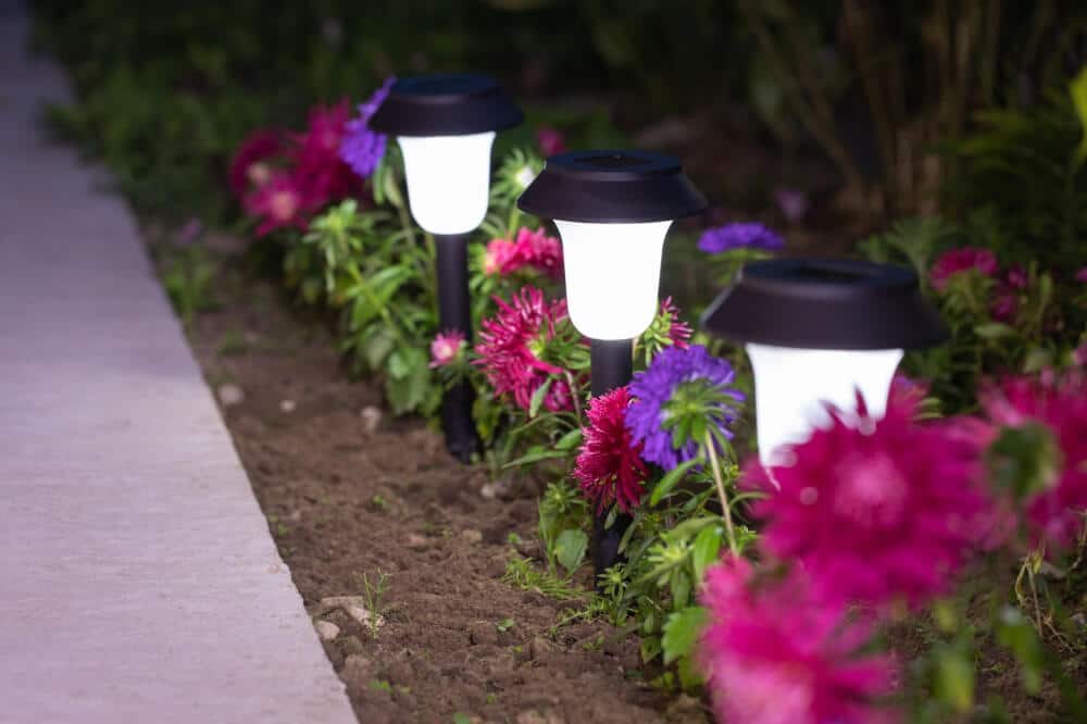Lit landscape lighting stakes lining a pathway with flowers at night.